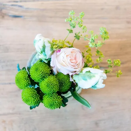 Landhotel Potsdam 4* Potsdam